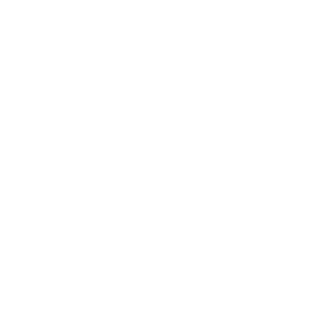 logopromobrace